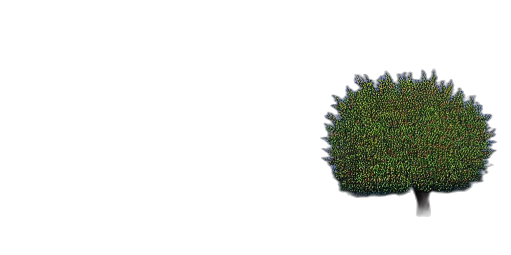 crown, tree, hair, hat transparent PNG cut-out