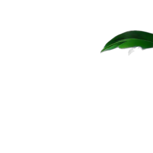 umbrella, hat, dragon, weapon transparent PNG cut-out