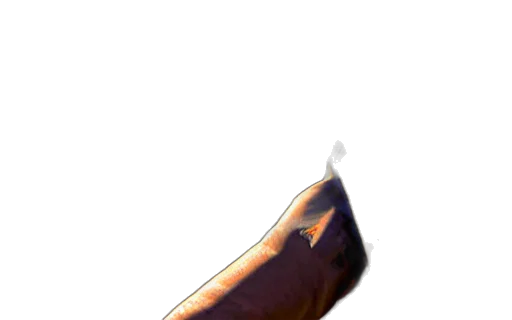 weapon, staff, food, sword, concept art, 3d render, photorealistic, pixel art transparent PNG cut-out