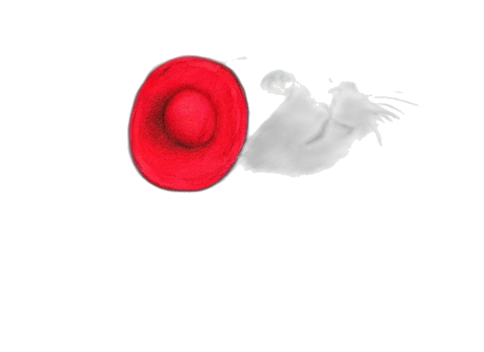 hat, flower, crown, weapon transparent PNG cut-out
