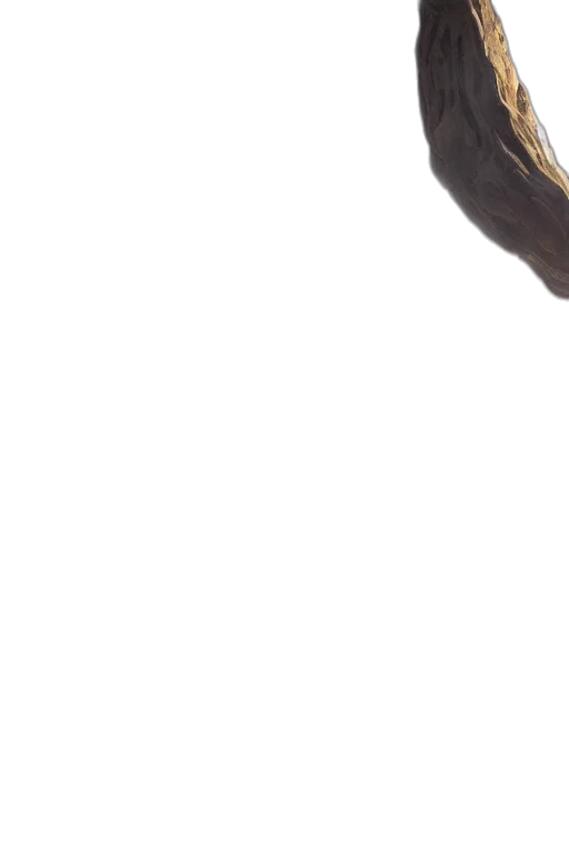shoes, staff, mask, hat transparent PNG cut-out