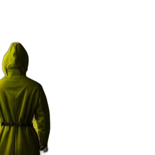 jacket, sword, weapon, staff transparent PNG cut-out