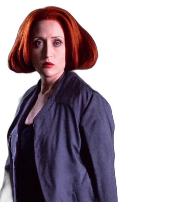 jacket, dress, film, still, raven, bird, scully, files transparent PNG cut-out