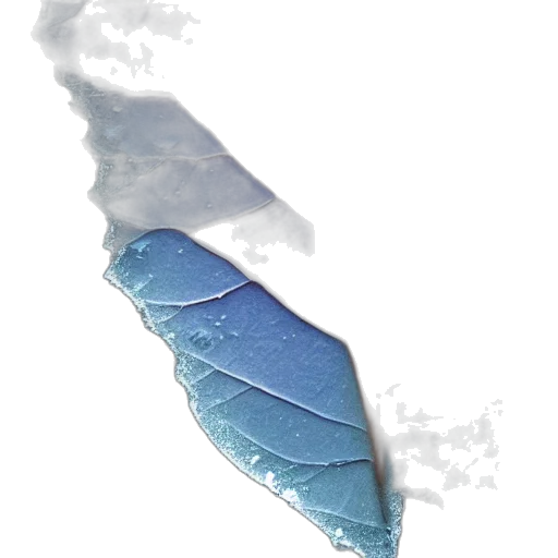 sword, umbrella, weapon, bottle transparent PNG cut-out