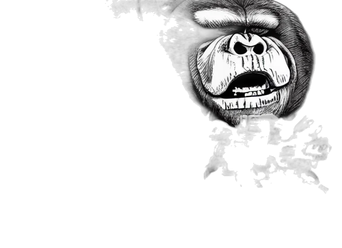 mask, face, creature, animal transparent PNG cut-out