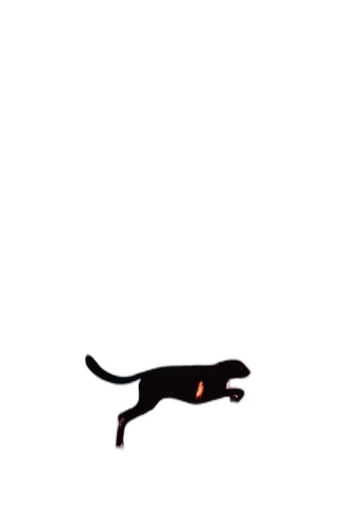 animal, creature, staff, dragon transparent PNG cut-out