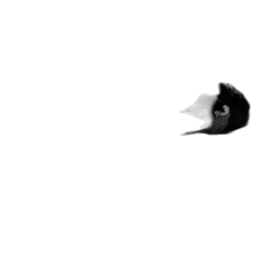 hat, animal, crown, mask transparent PNG cut-out