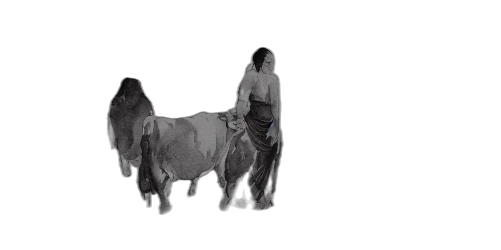 animal, dress, creature, hair transparent PNG cut-out