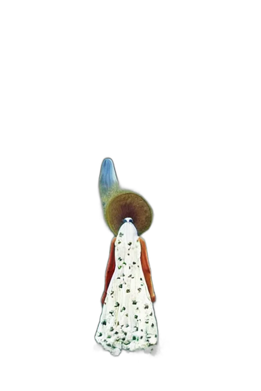 hat, staff, shoes, crown transparent PNG cut-out