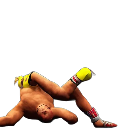 shoes, photorealistic, 3d render, concept art, pixel art, animal, wrestling, playstation transparent PNG cut-out