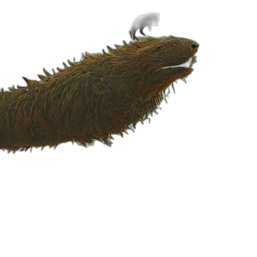 creature, dragon, animal, hair transparent PNG cut-out