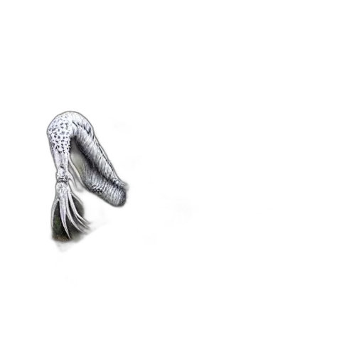 jewelry, shoes, crown, hat, photorealistic, 3d render, white, dragon transparent PNG cut-out