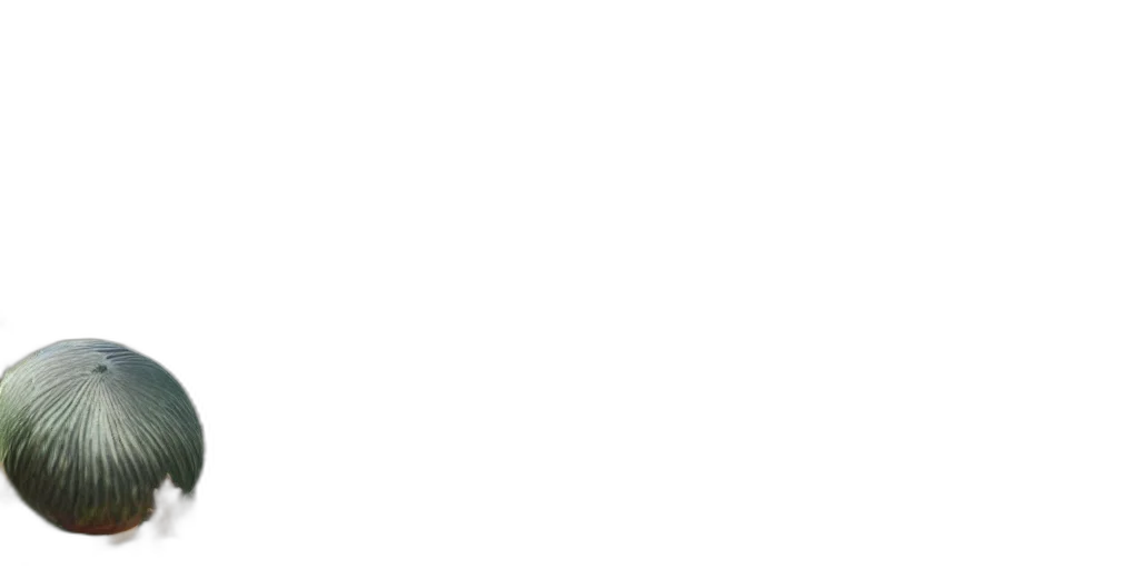 staff, face, monochrome, pastel, coco, palm, family, silly transparent PNG cut-out