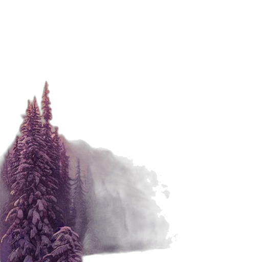 tree, dress, dragon, jacket transparent PNG cut-out