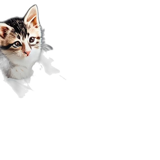 animal, staff, weapon, creature transparent PNG cut-out