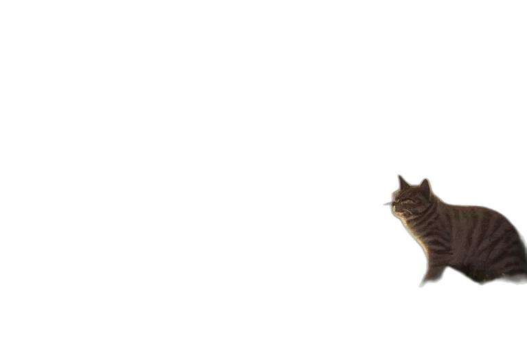 animal, hair, creature, dragon transparent PNG cut-out