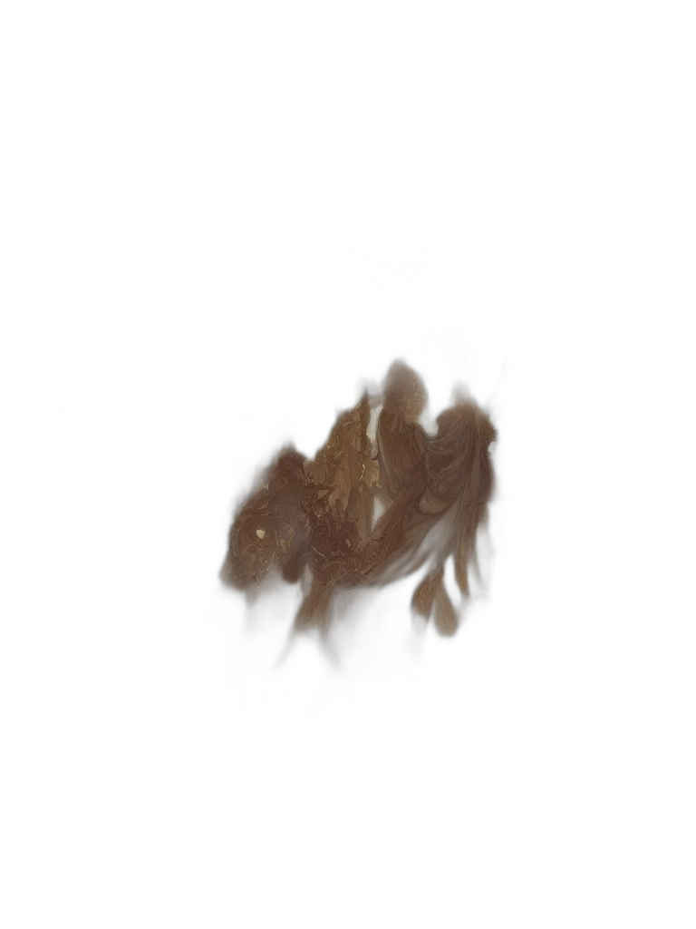 hair, animal, creature, mask transparent PNG cut-out