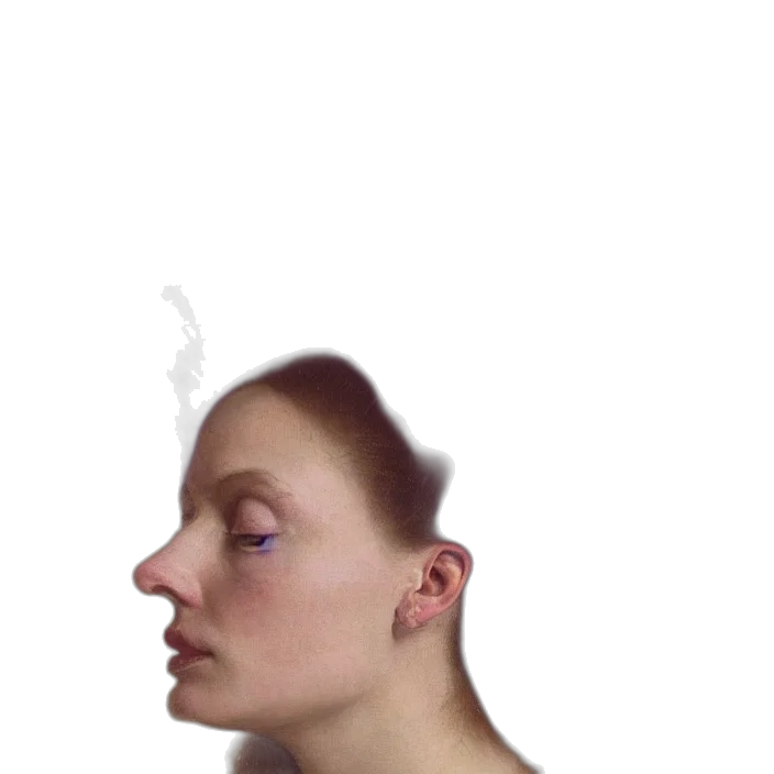 face, mask, hair, crown transparent PNG cut-out