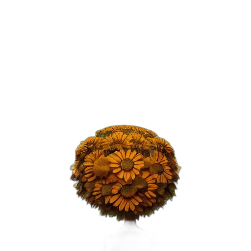 flower, crown, hair, hat, photorealistic, 3d render, concept art, oil painting transparent PNG cut-out
