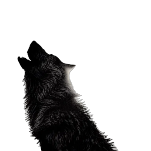 animal, creature, staff, face transparent PNG cut-out