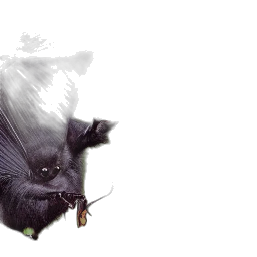dragon, creature, animal, mask transparent PNG cut-out