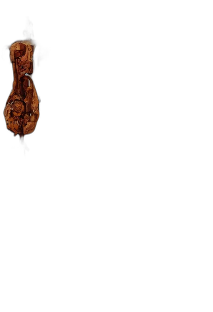 staff, hair, food, tree transparent PNG cut-out