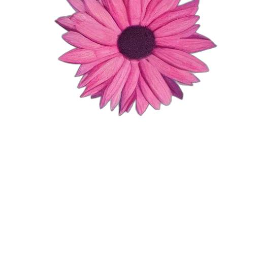flower, jewelry, crown, staff, 3d render, photorealistic, watercolor, pencil sketch transparent PNG cut-out