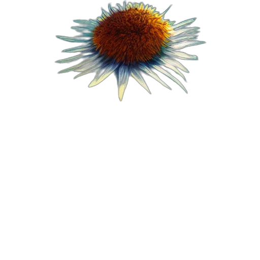 flower, staff, crown, weapon, 3d render, concept art, photorealistic, watercolor transparent PNG cut-out