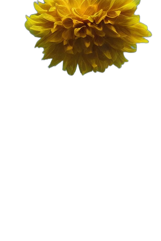 flower, crown, staff, jewelry, 3d render, photorealistic, pixel art, concept art transparent PNG cut-out