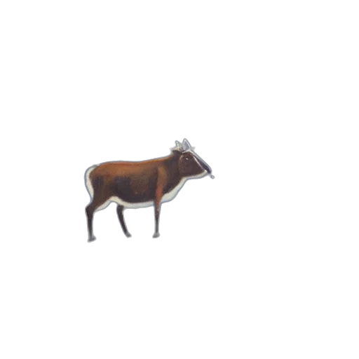 animal, creature, dragon, furniture transparent PNG cut-out