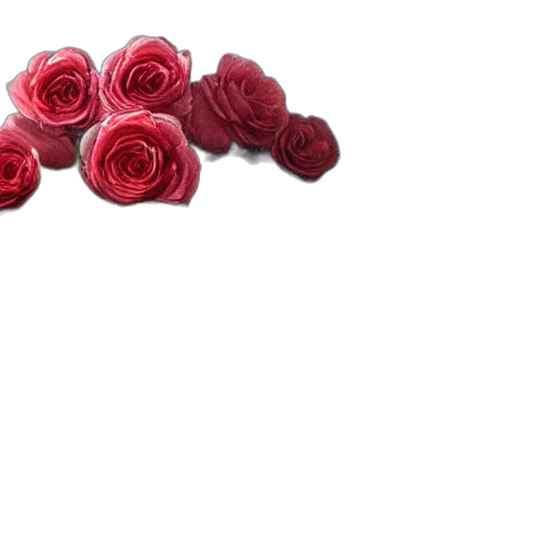 flower, jewelry, crown, shoes transparent PNG cut-out