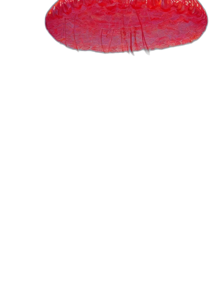 hat, hair, mask, crown transparent PNG cut-out