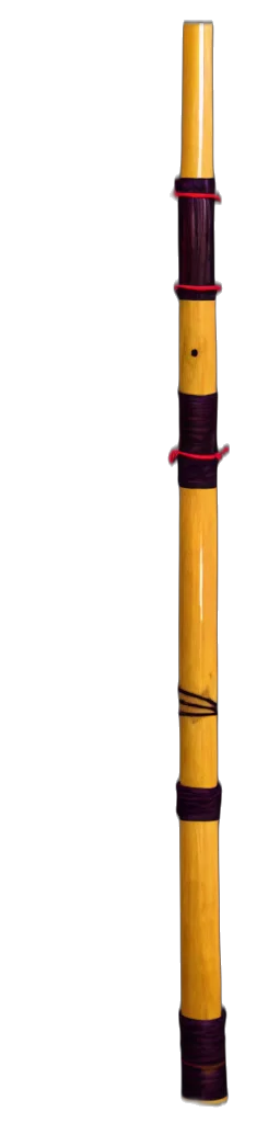 staff, weapon, umbrella, sword transparent PNG cut-out