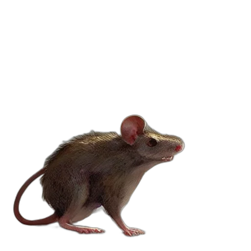 animal, creature, hat, staff, photorealistic, concept art, 3d render, oil painting transparent PNG cut-out
