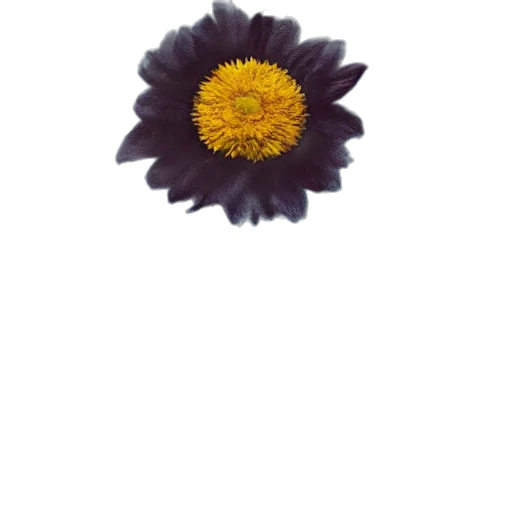 flower, crown, jewelry, staff, photorealistic, 3d render, oil painting, pixel art transparent PNG cut-out