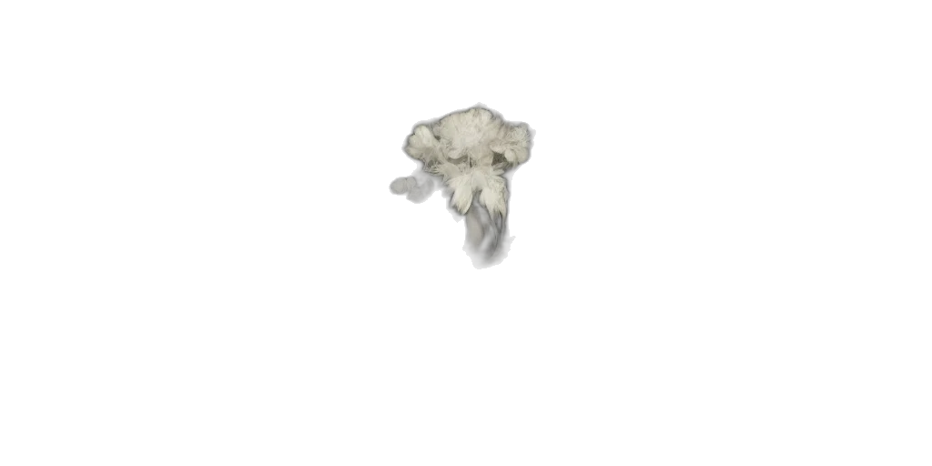 crown, flower, jewelry, food, 3d render, photorealistic, monochrome, breathtaking transparent PNG cut-out