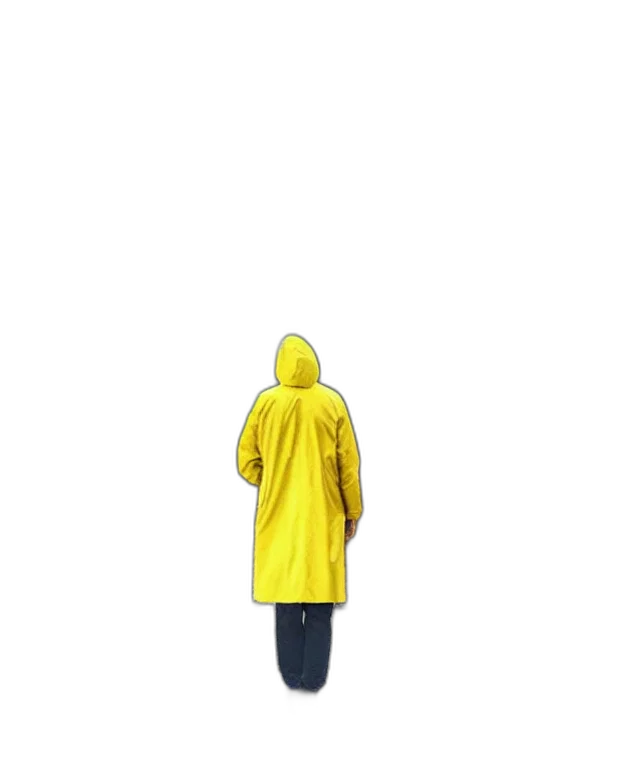 jacket, umbrella, dress, staff transparent PNG cut-out