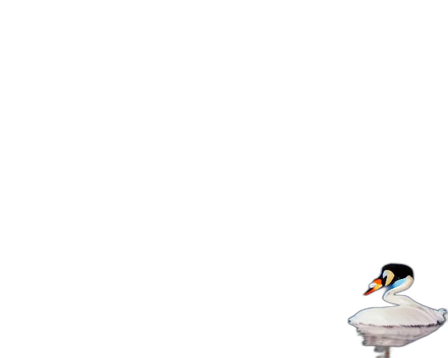 animal, staff, weapon, hat, pixel art, concept art, 3d render, cartoon transparent PNG cut-out