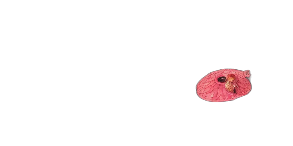flower, hat, umbrella, food, watercolor, photorealistic, concept art, pixel art transparent PNG cut-out