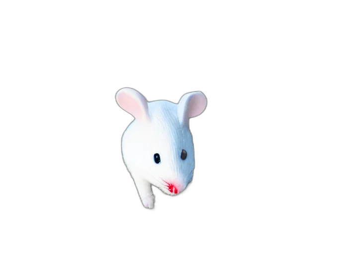 animal, creature, weapon, food transparent PNG cut-out