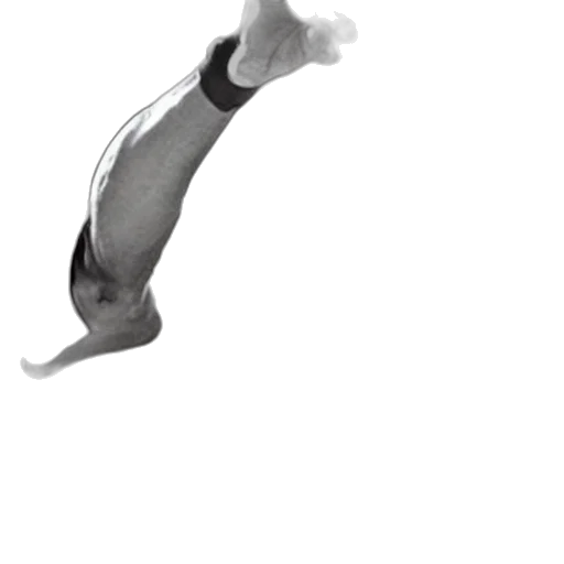 staff, weapon, sword, hair transparent PNG cut-out