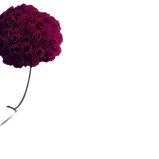 crown, flower, umbrella, jewelry, 3d render, photorealistic, dark, red transparent PNG cut-out