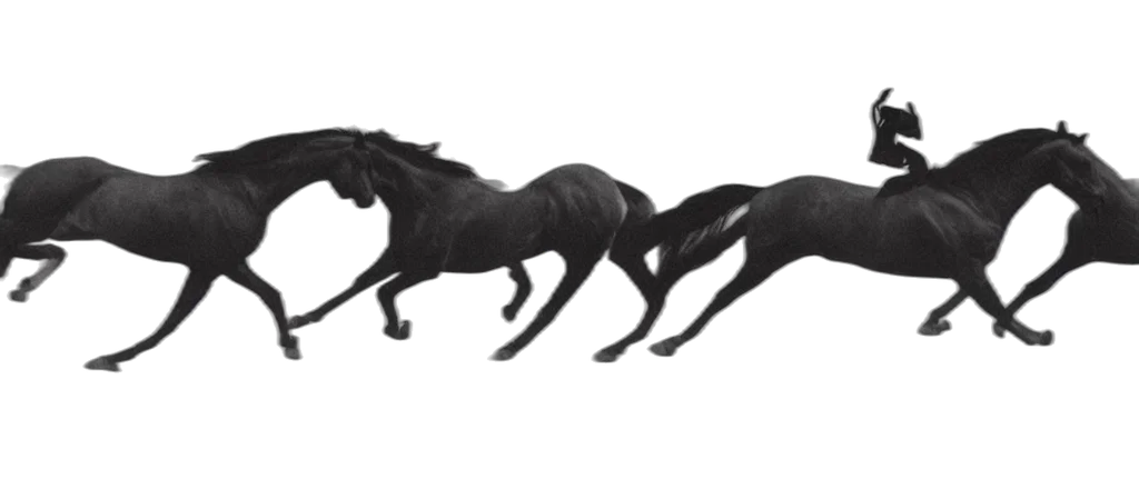 animal, dragon, creature, concept art transparent PNG cut-out