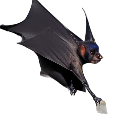 animal, creature, staff, umbrella transparent PNG cut-out