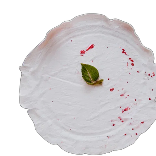 flower, food, weapon, crown, photorealistic, 3d render, top, view transparent PNG cut-out