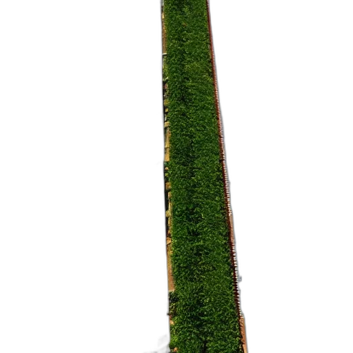 staff, sword, tree, weapon, 3d render, photorealistic, concept art, forest transparent PNG cut-out