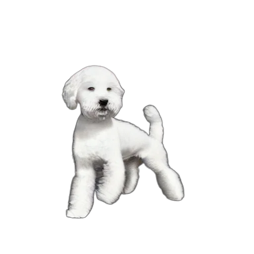 animal, creature, staff, hair transparent PNG cut-out