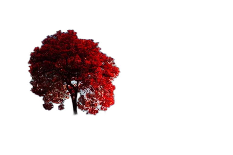 tree, crown, hat, hair, 3d render, photorealistic, pixel art, concept art transparent PNG cut-out