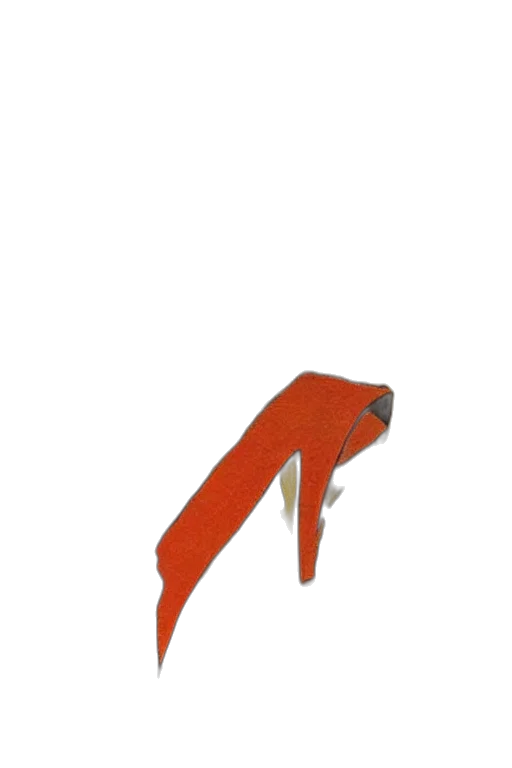 shoes, weapon, staff, umbrella transparent PNG cut-out