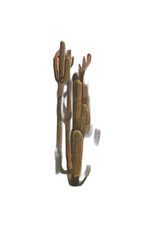 staff, weapon, tree, crown transparent PNG cut-out